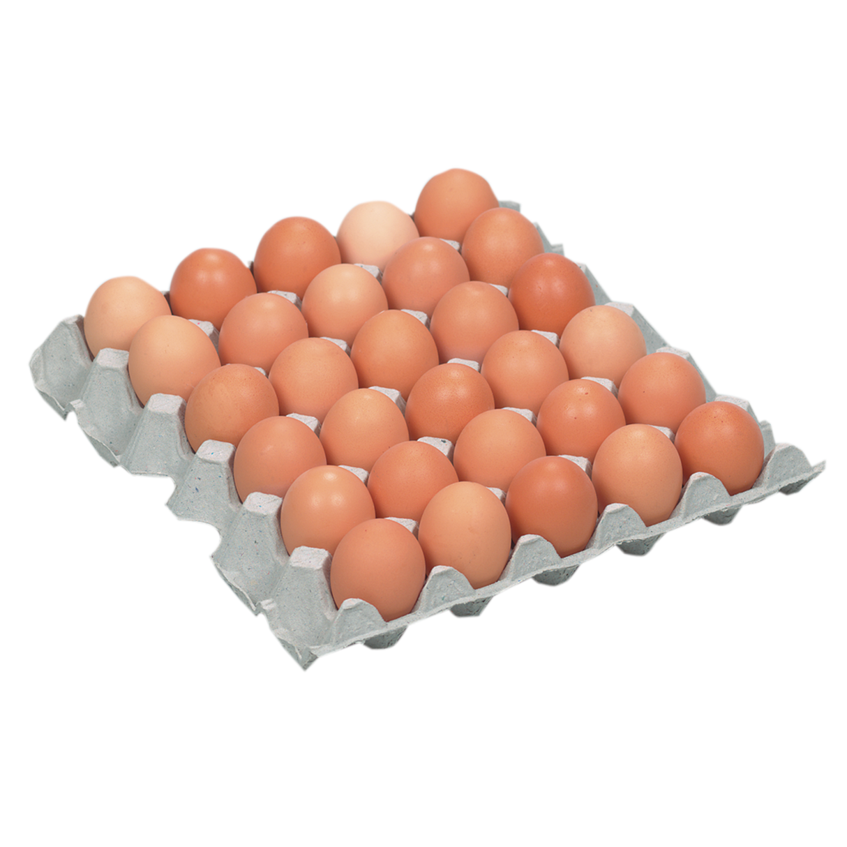 1127330.png