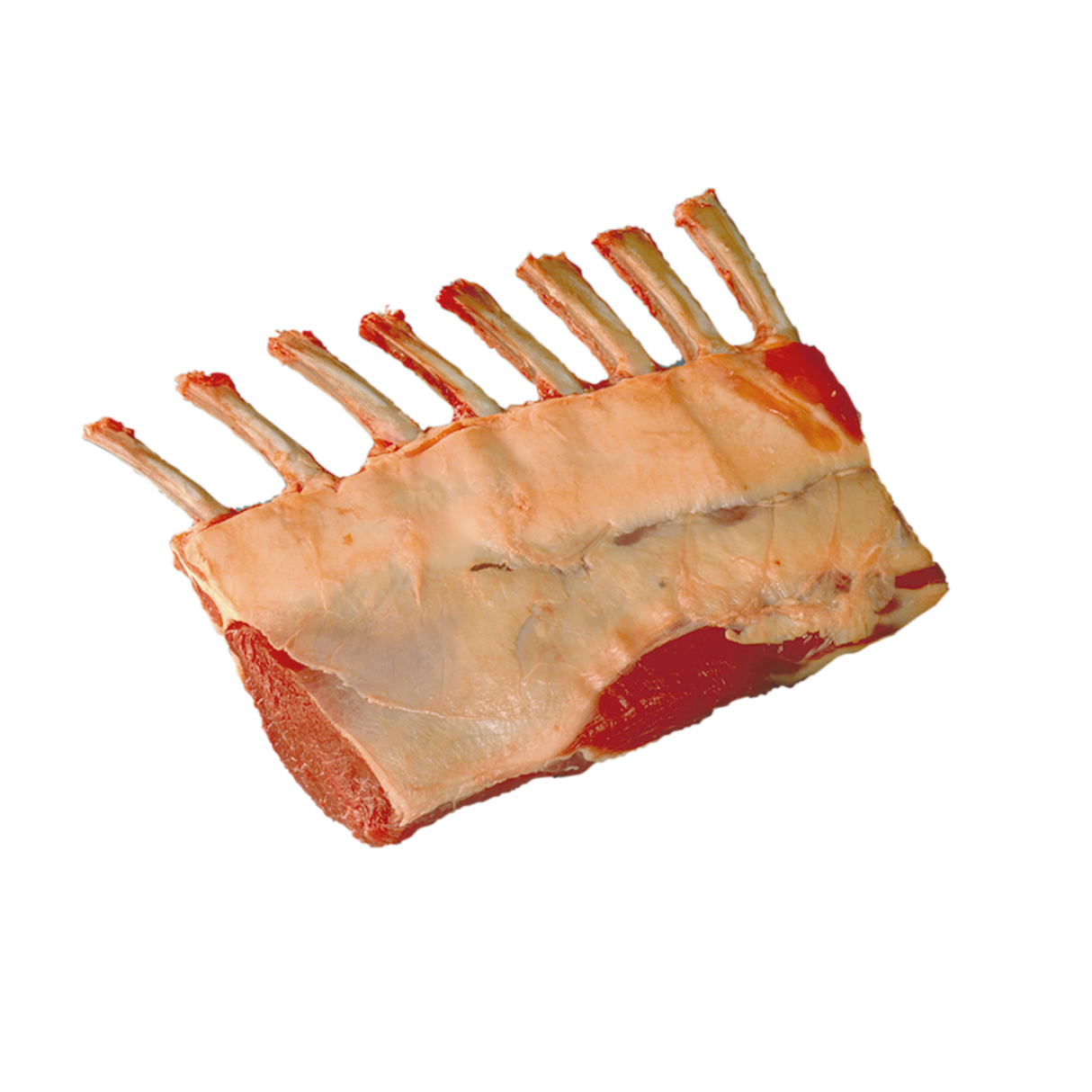 1301160.png
