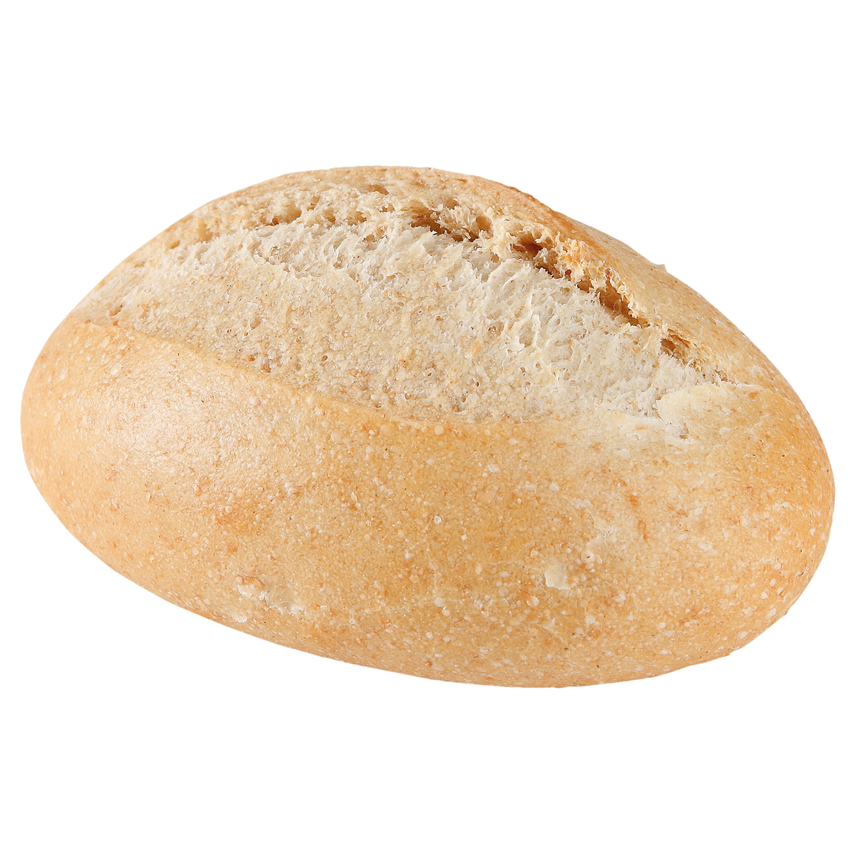 3259757.png