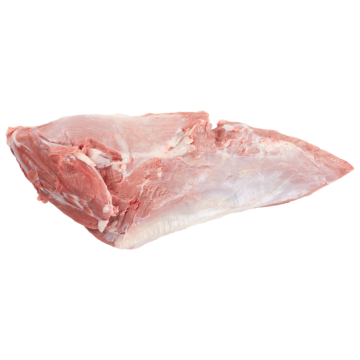 4285239.png