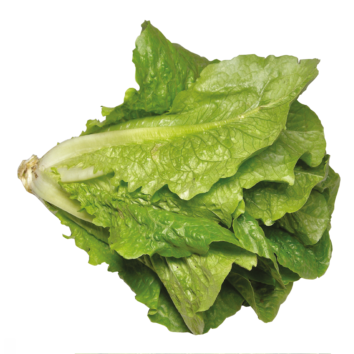 763802.png