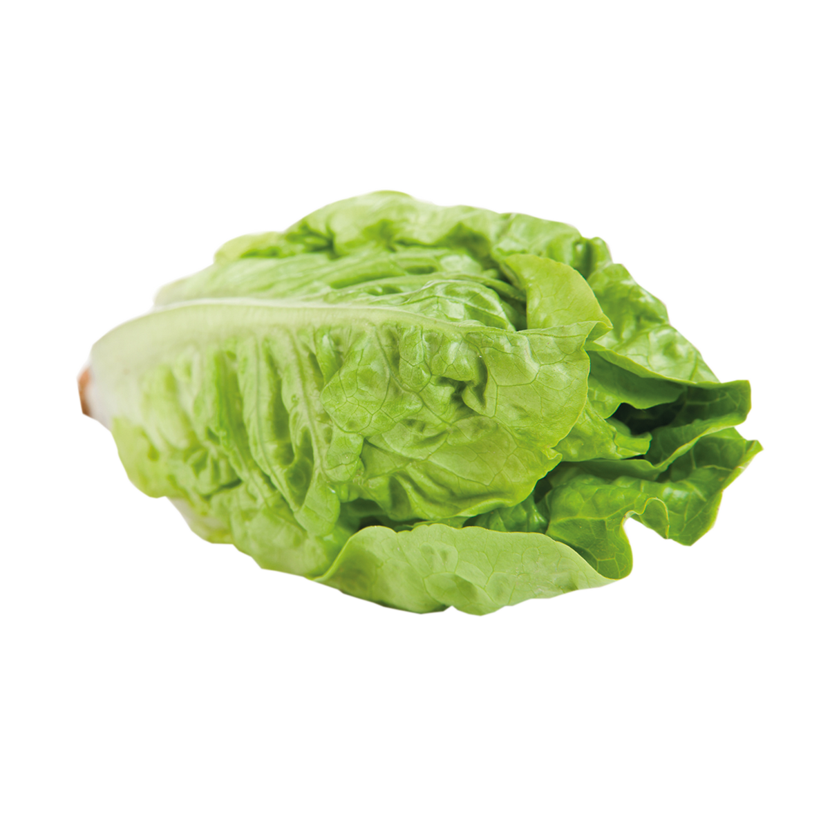 764094.png