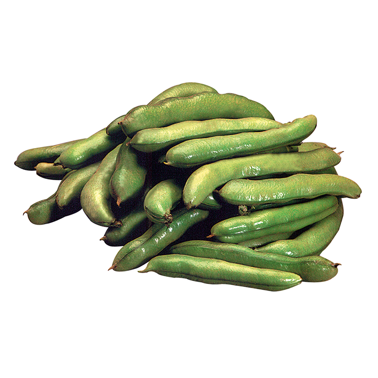 771015.png