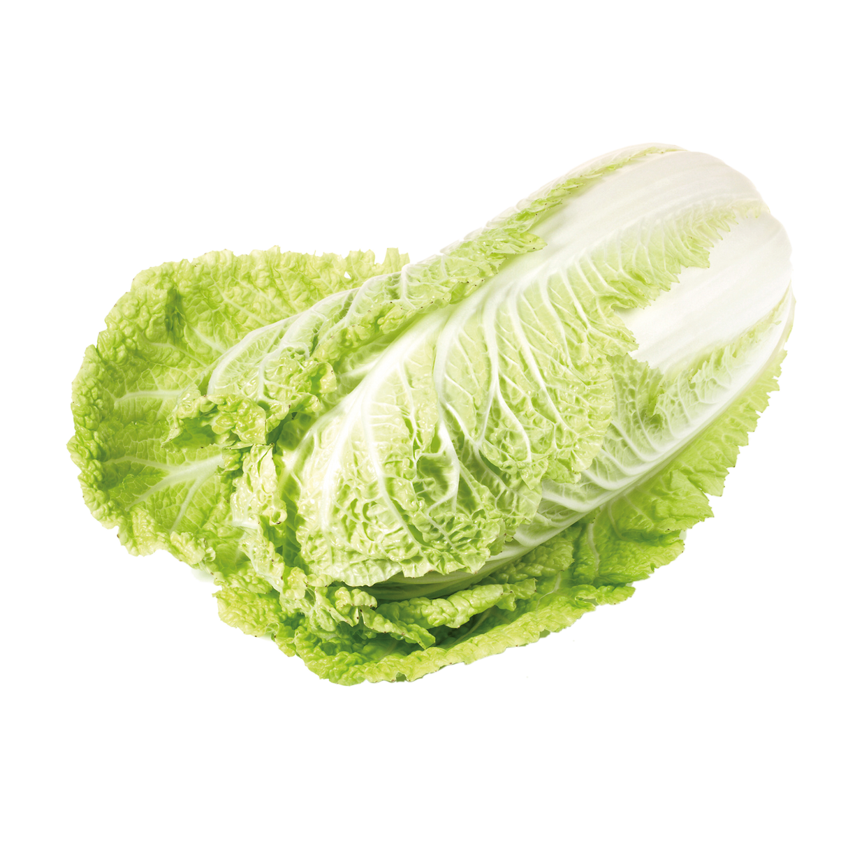 772518.png