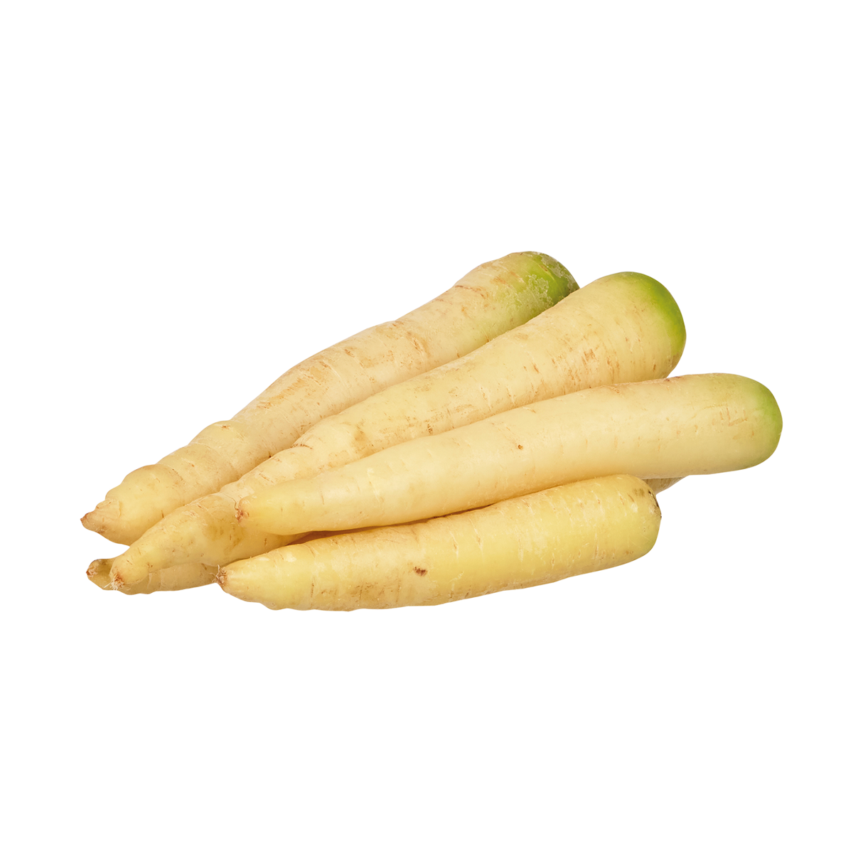 773204.png