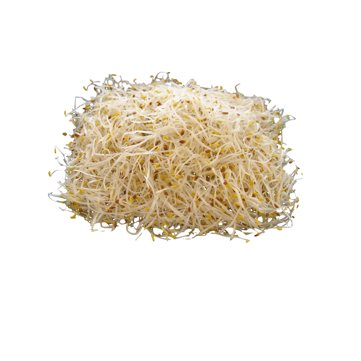 775363.png