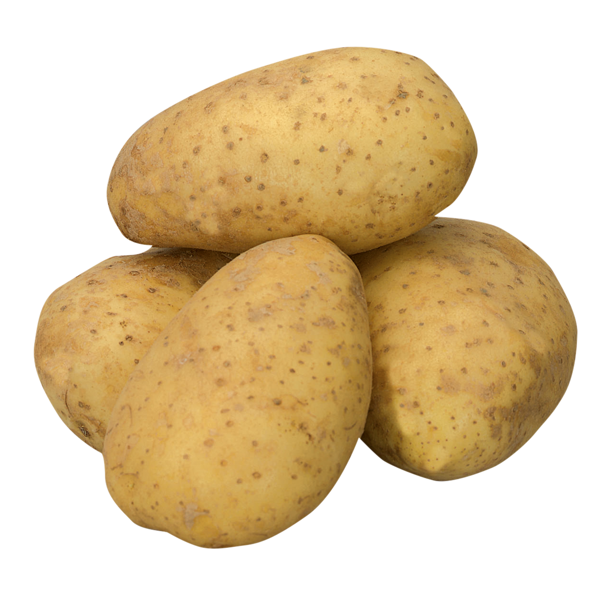 781355.png