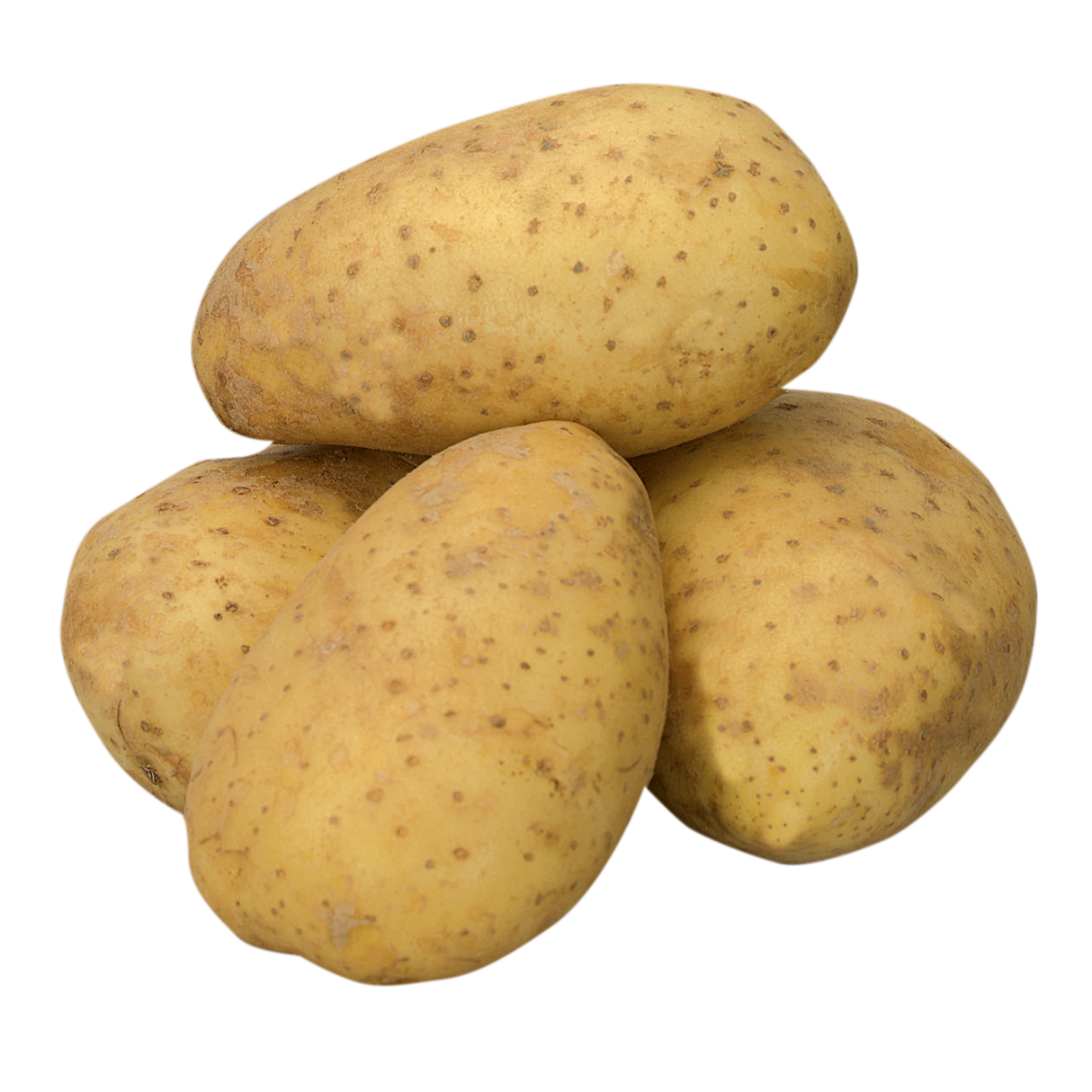 781584.png