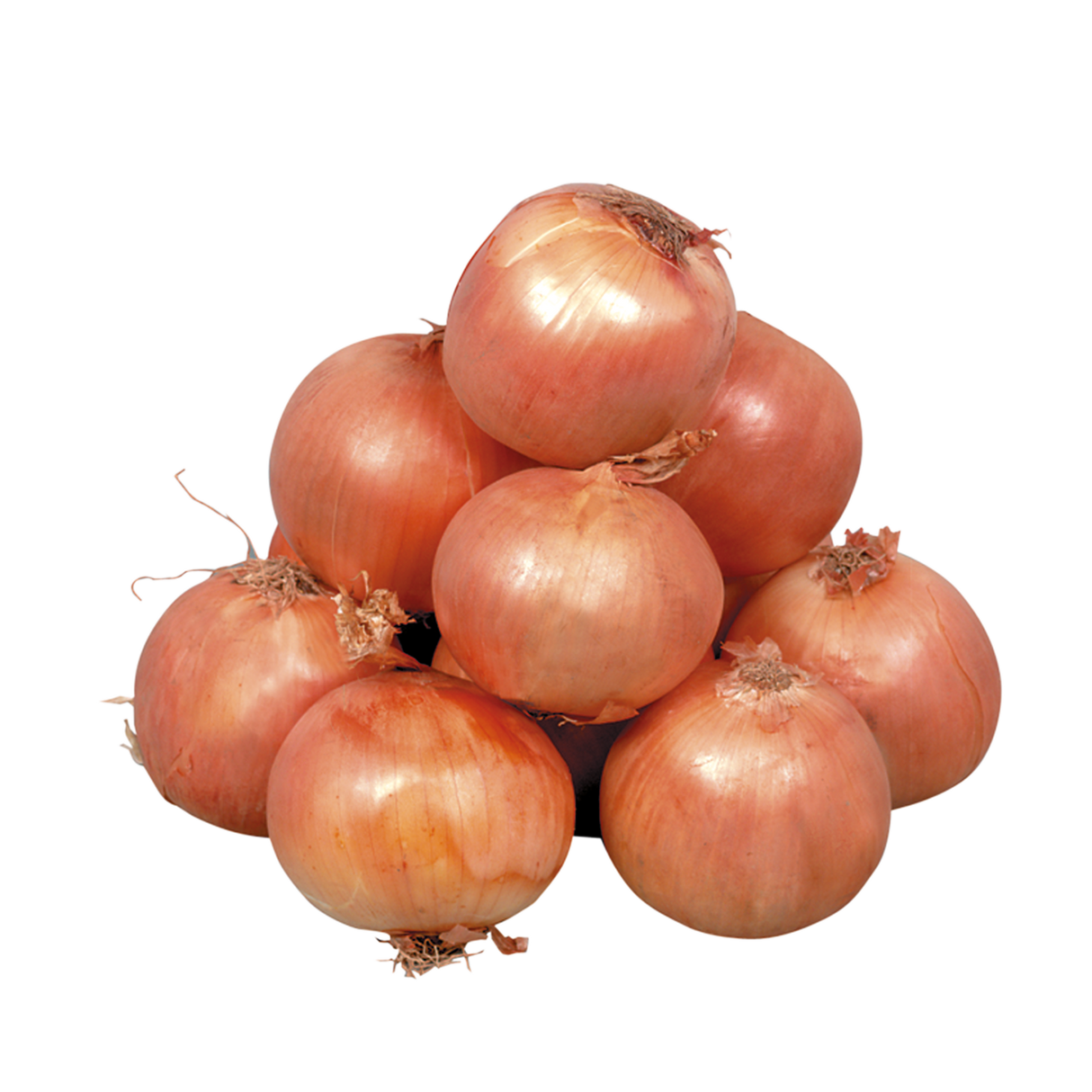 782335.png