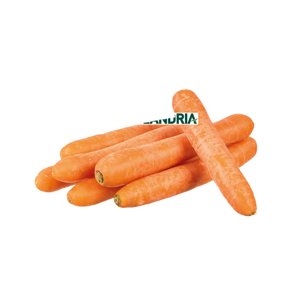 783145.png