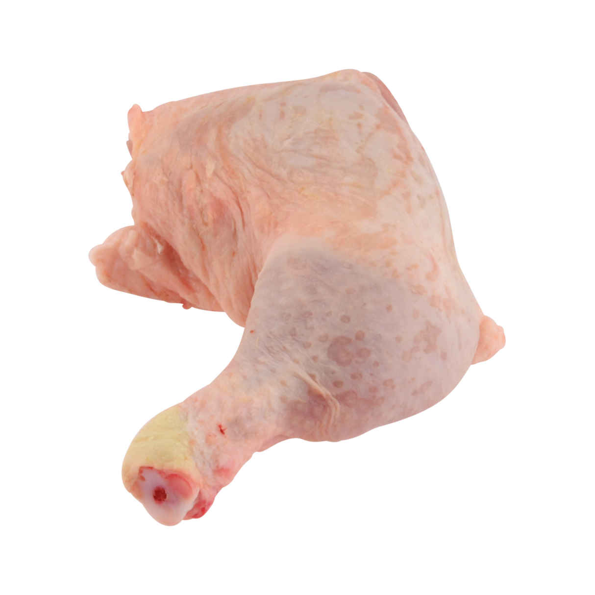 838101.png