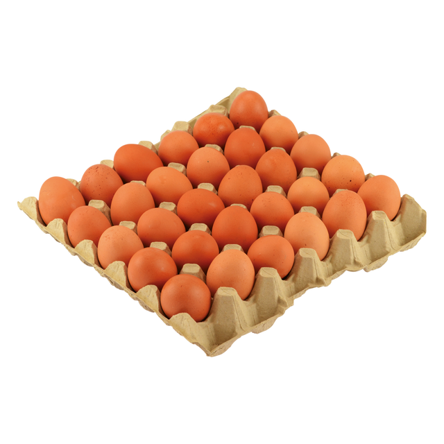 1127357.png