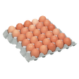 1239538.png