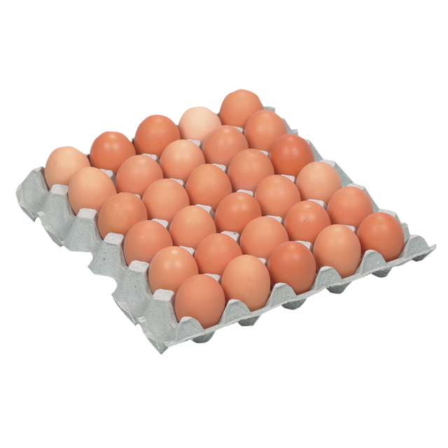 1239538.png