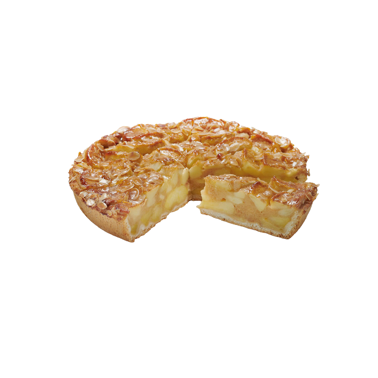 1262955.png