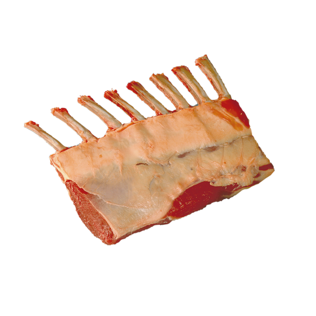 1301160.png