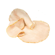 1345389.png