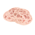 1346172.png