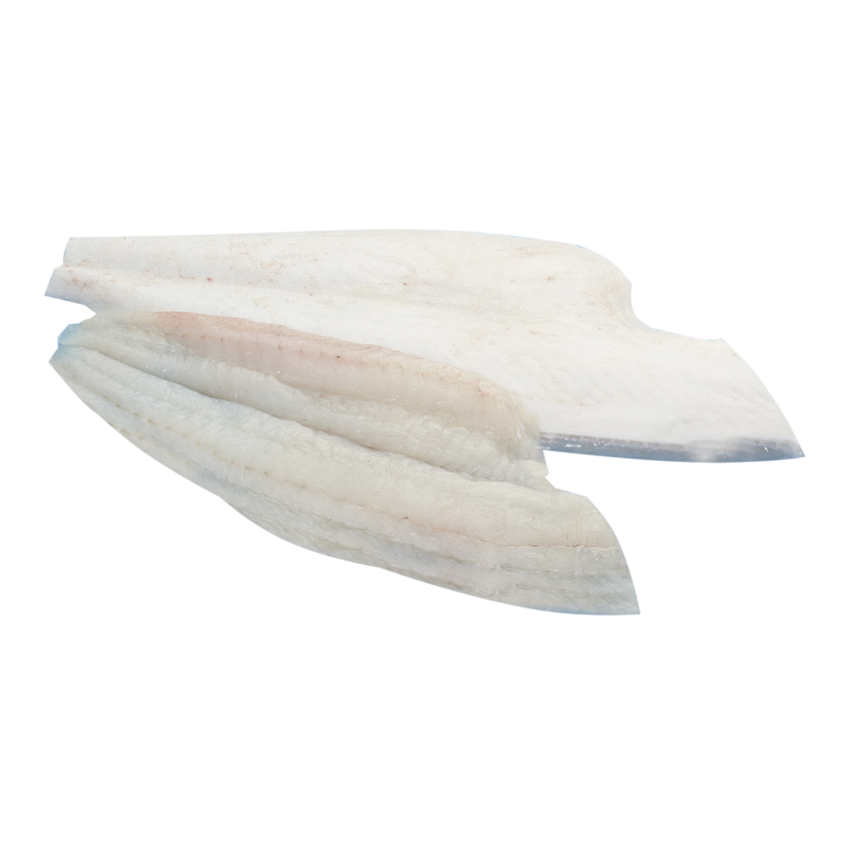 1875671.png