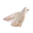 1968262.png