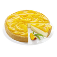 2492474.png