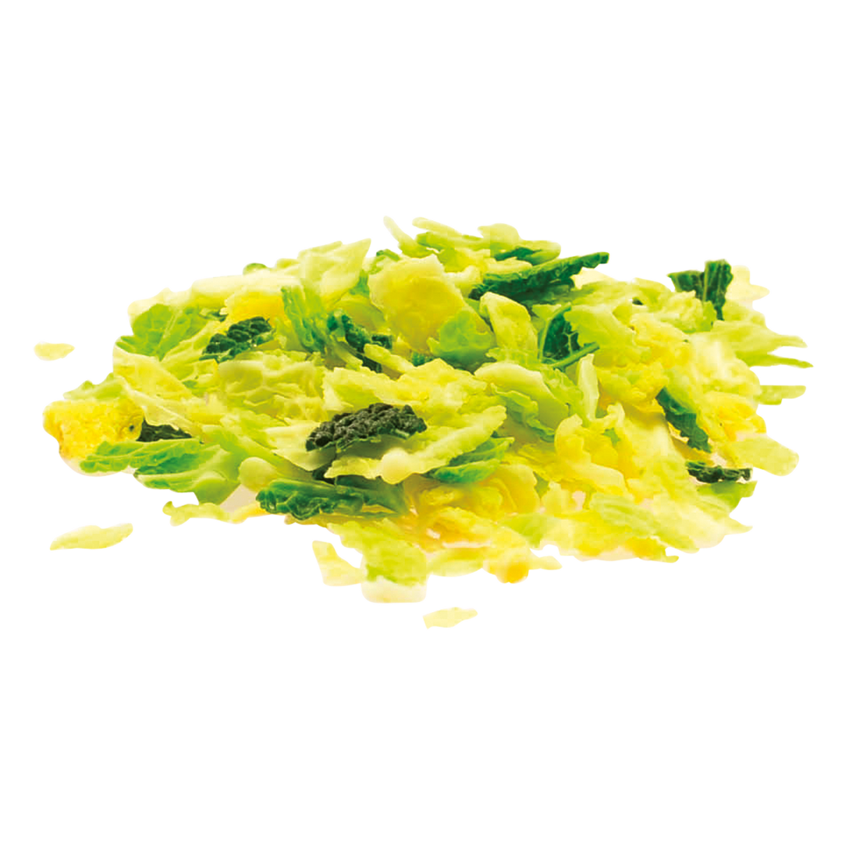 2583321.png