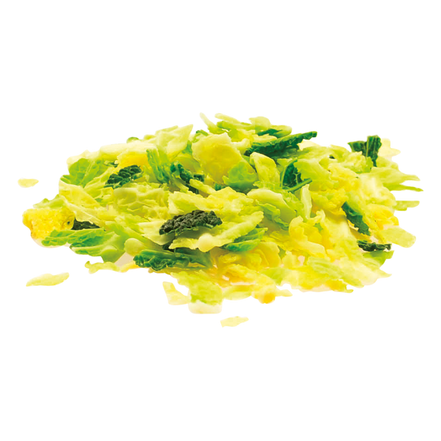 2583321.png