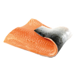 3101843.png