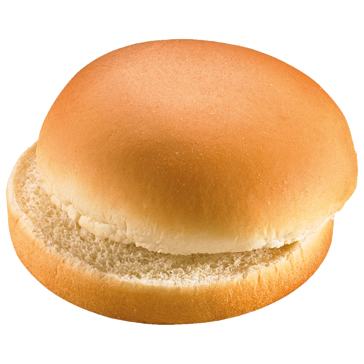 3258149.png