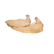 3583872.png