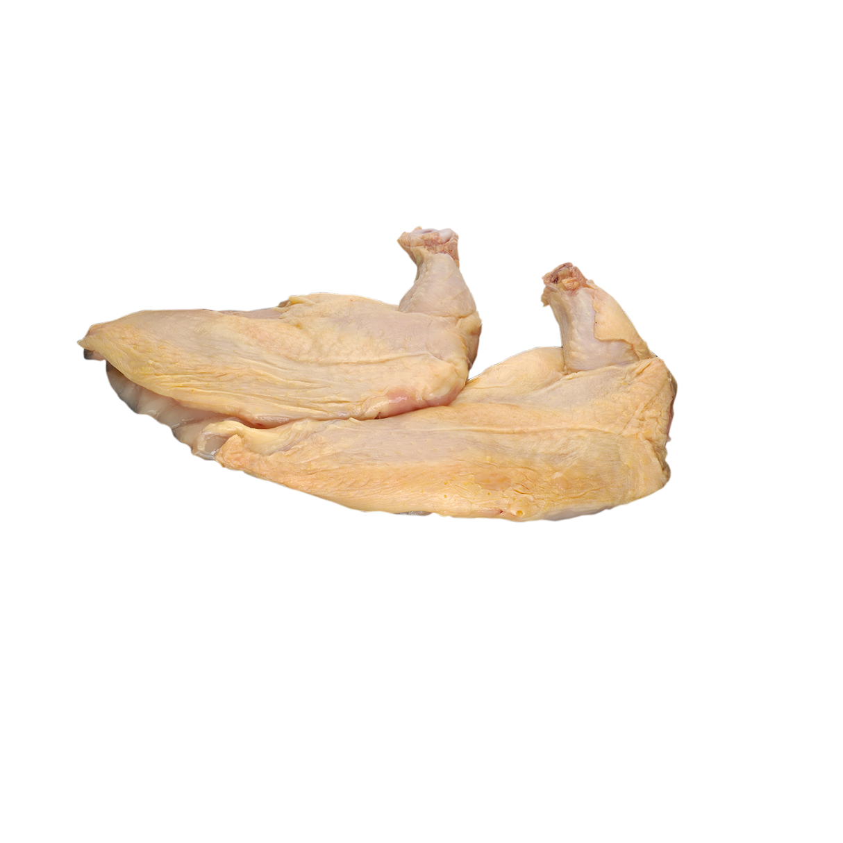 3583872.png