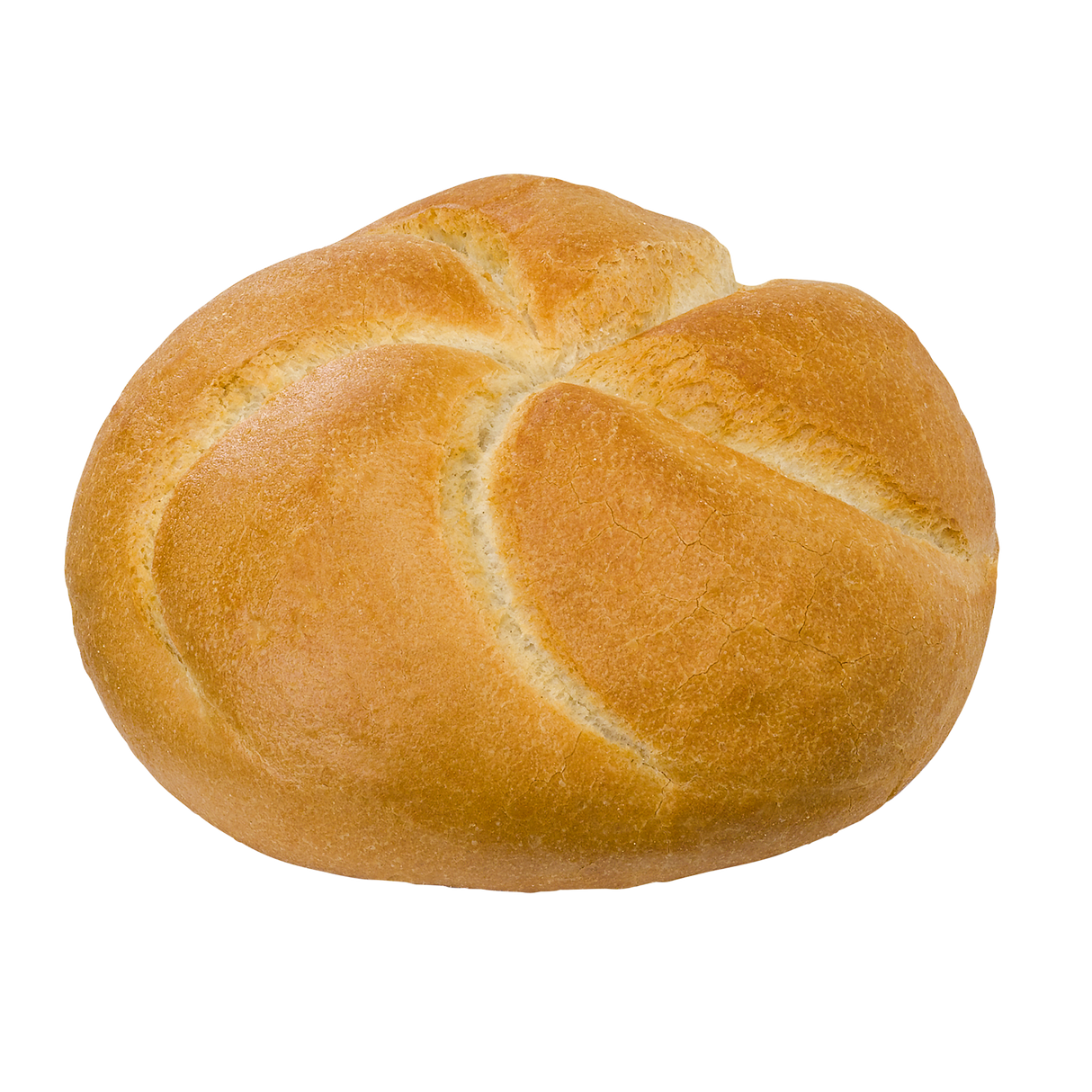 3664686.png