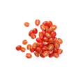 3827704.png