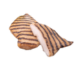 4432452.png
