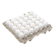 4479211.png
