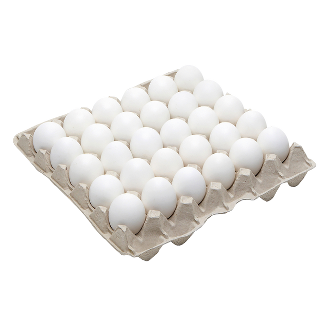 4479211.png