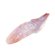 4481224.png