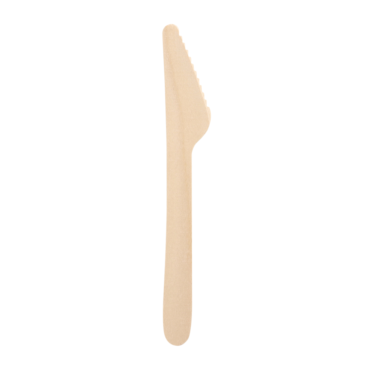 4506278.png