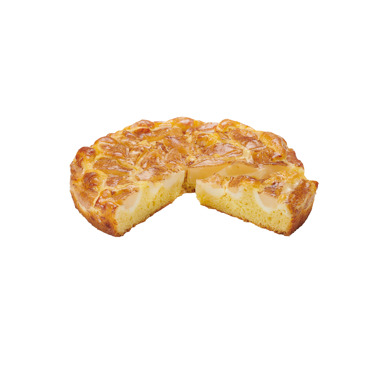 616354.png