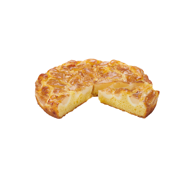 616354.png