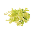 706566.png