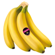 709026.png