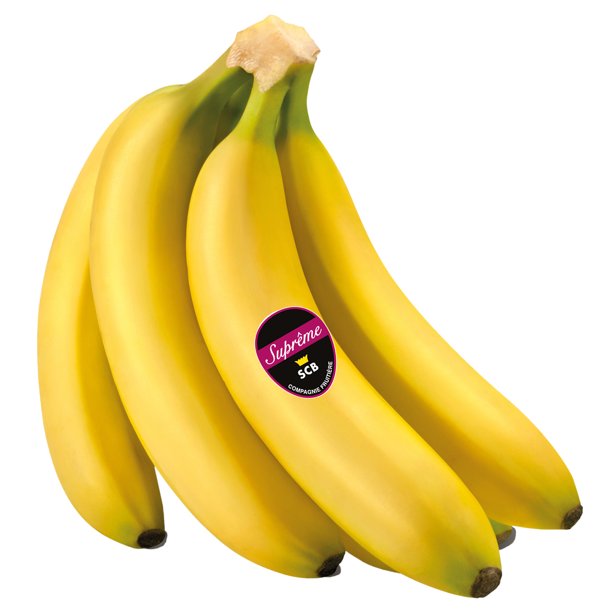 709026.png