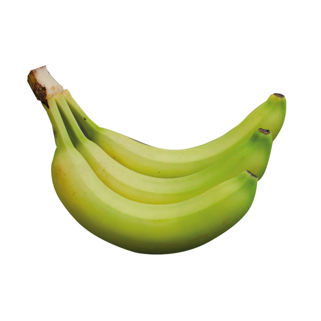 709034.png
