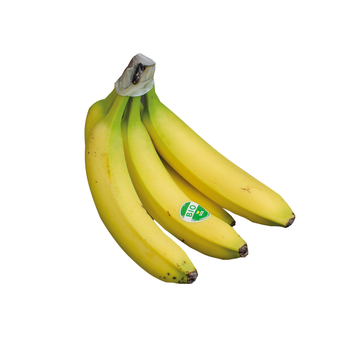 709069.png