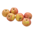 710067.png