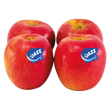 710369.png