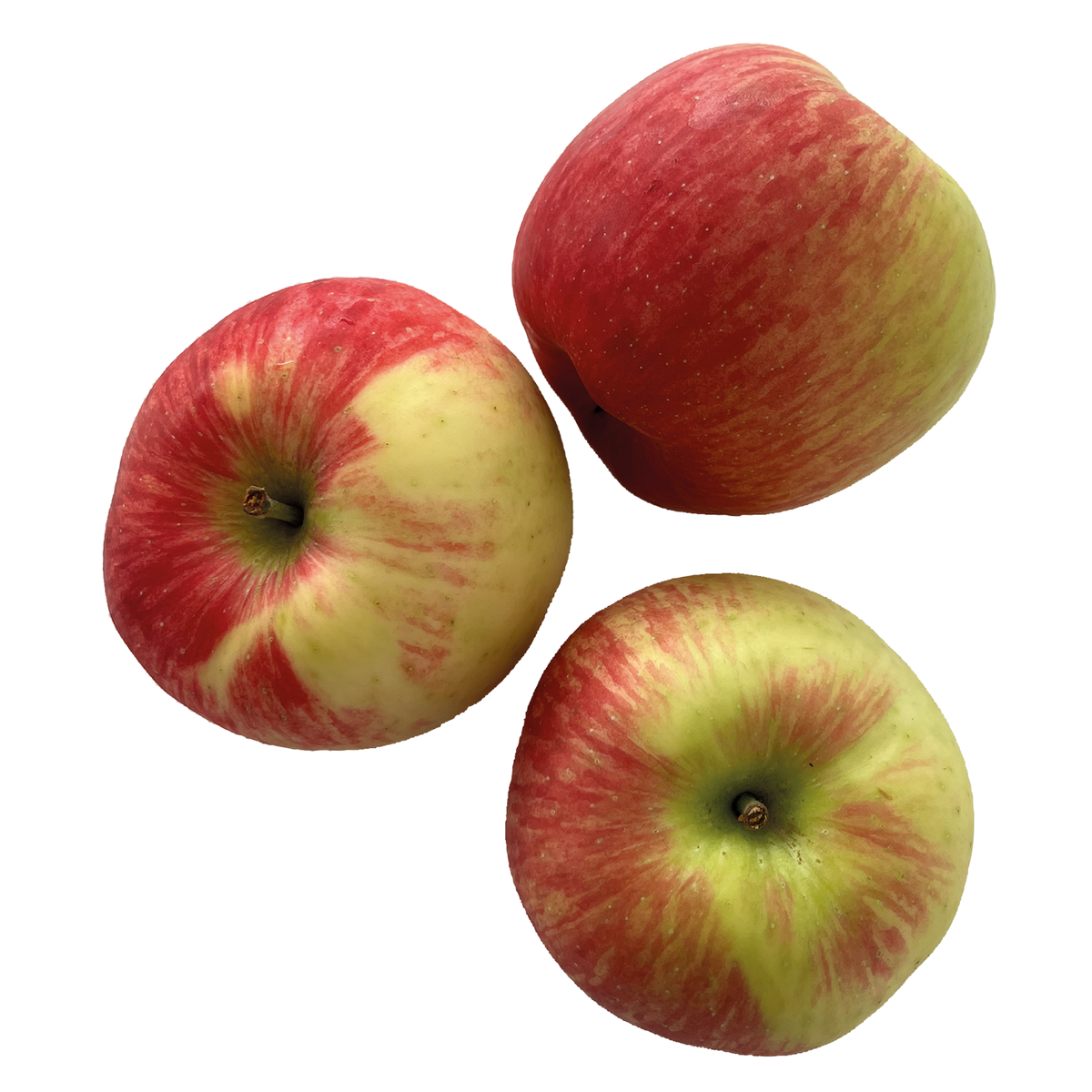 710970.png