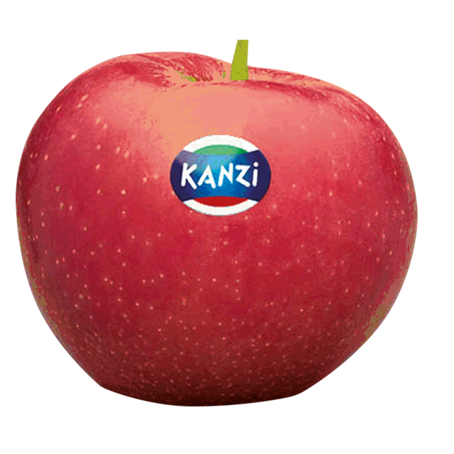 713333.png