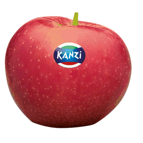 713341.png